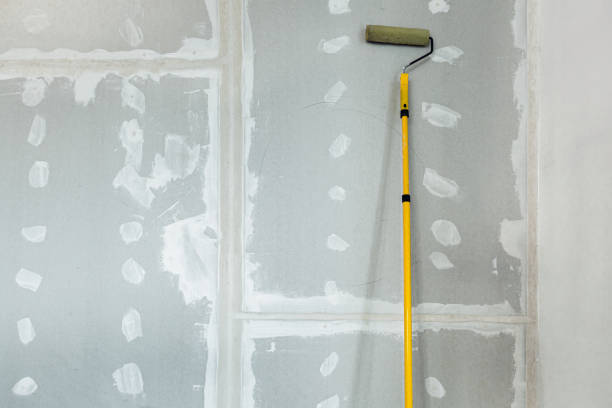 Best Drywall Texturing  in Ponchatou, LA